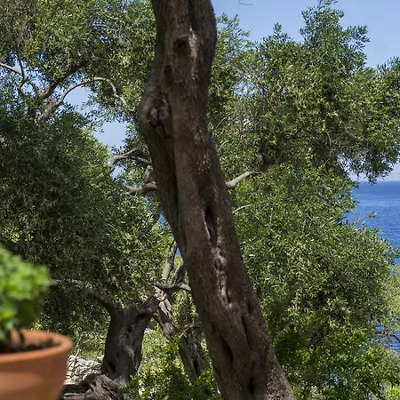 Paxos Sunrise Villa *